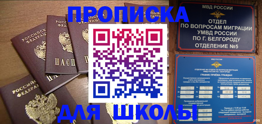 прописка гарантия в Тамбове